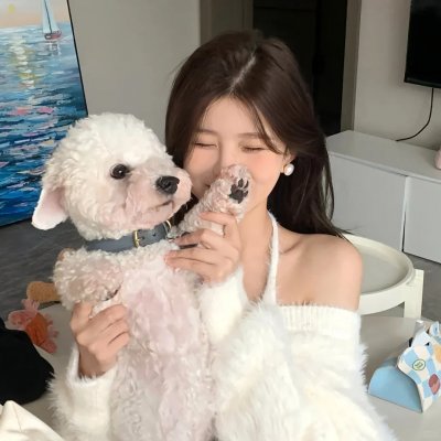 黑之契约者2:流星的双子